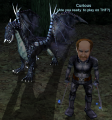Curious.PNG