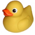 Duck.jpg