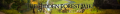 Banner Wiki.PNG