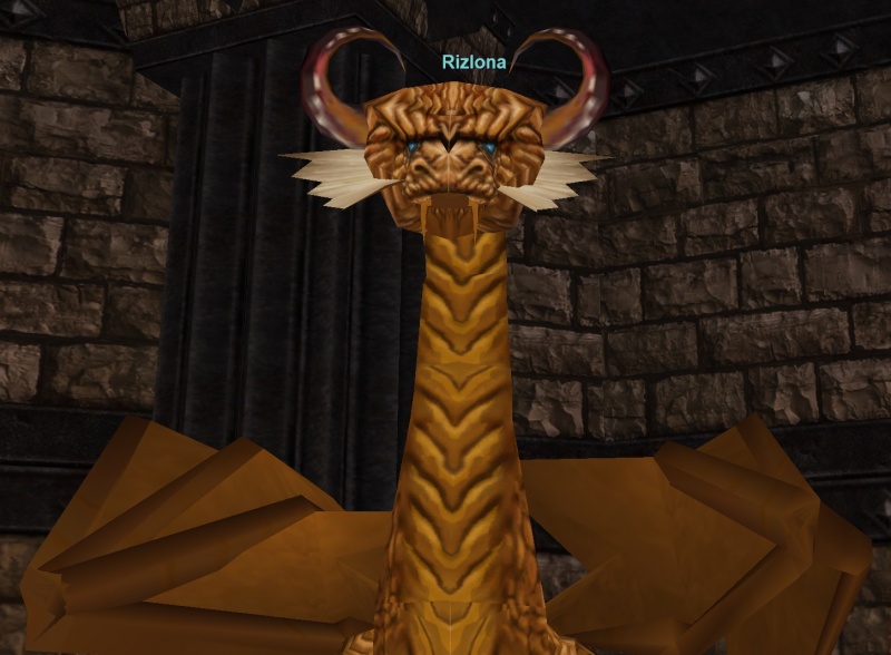 File:Rizlona.Dragon.jpg